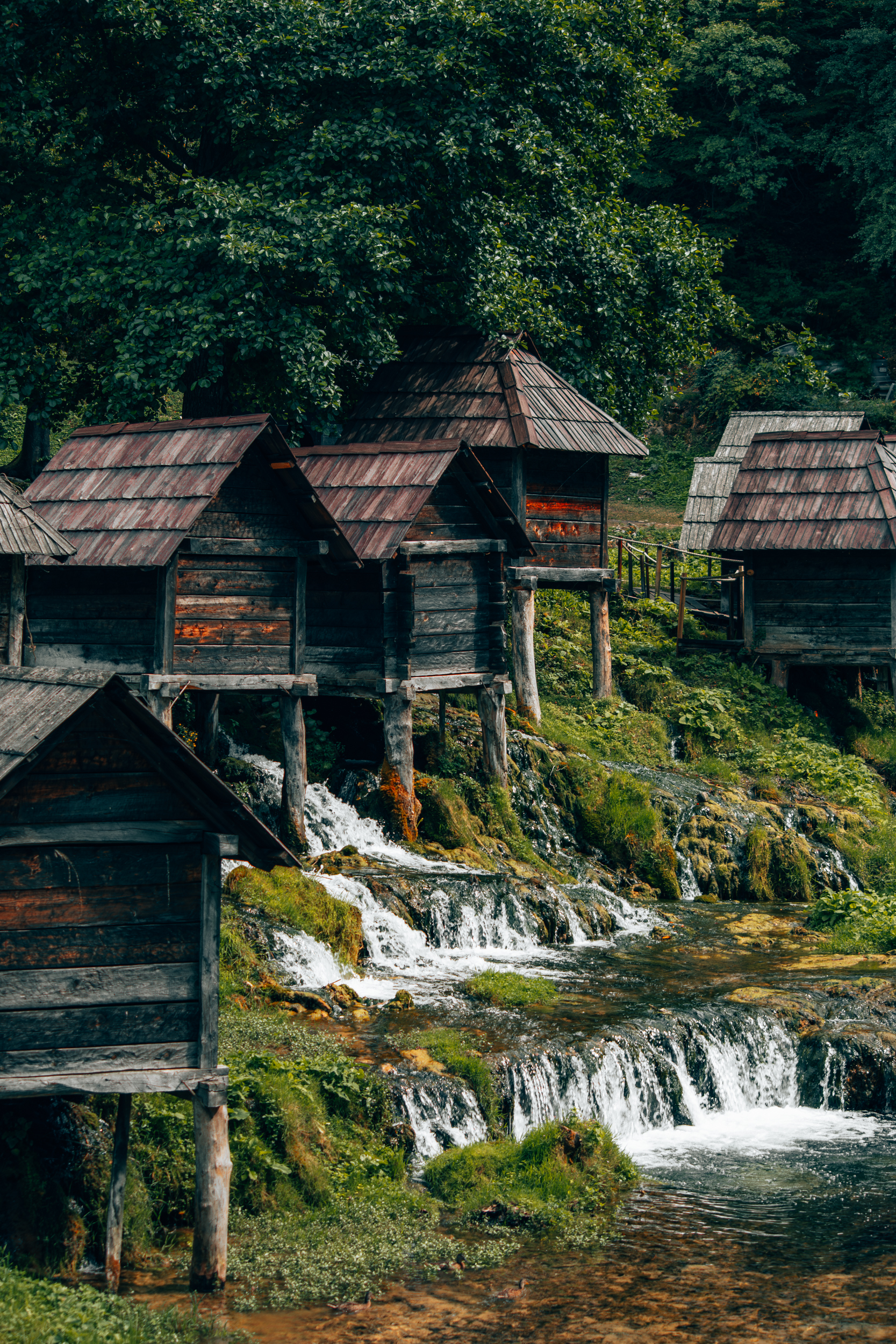 Jajce
